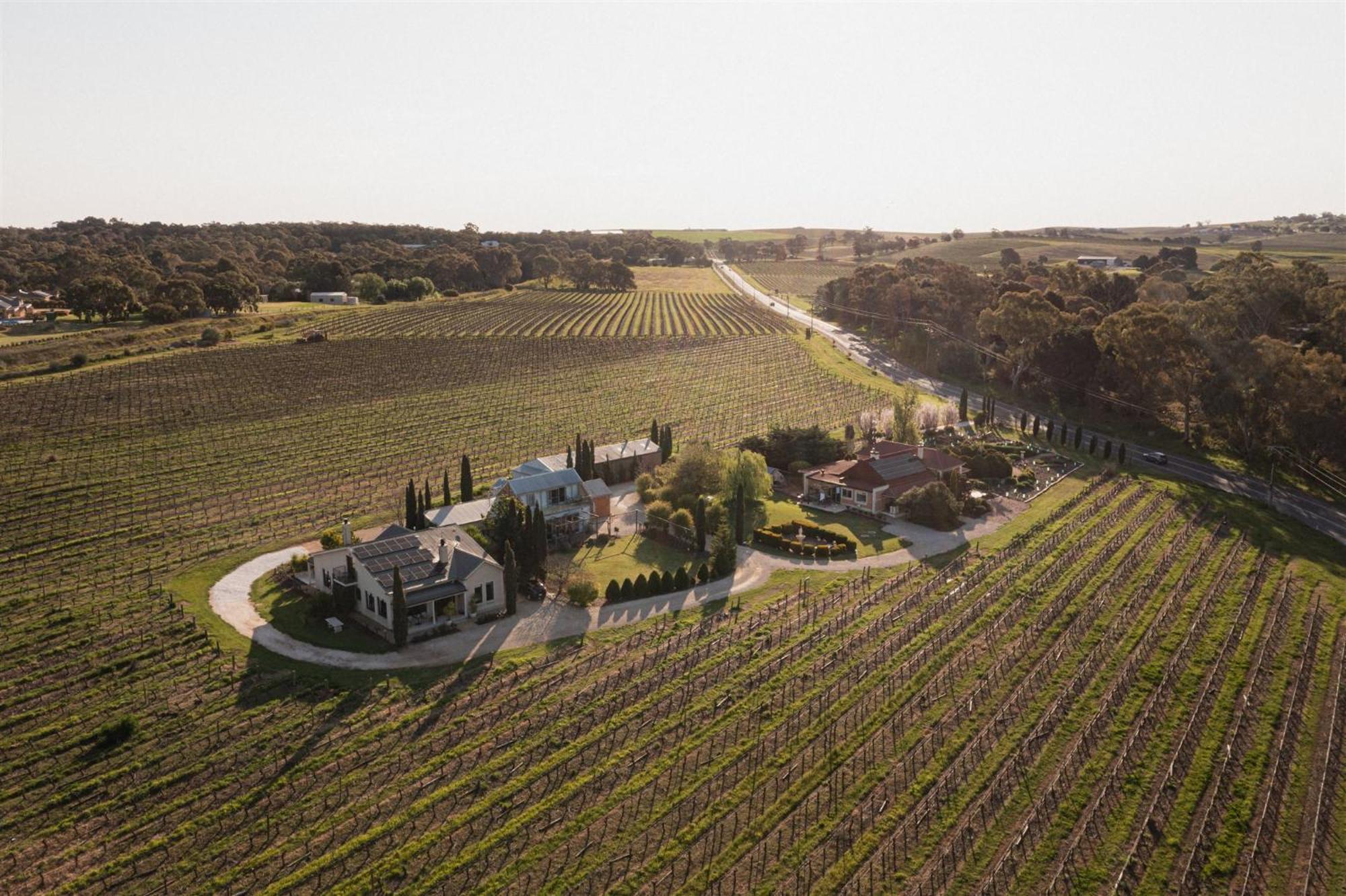 Вилла Barossa Shiraz Estate Lyndoch Экстерьер фото