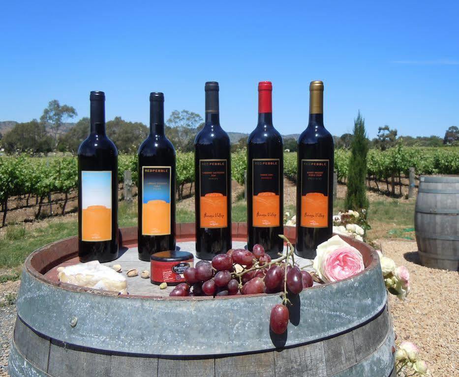 Вилла Barossa Shiraz Estate Lyndoch Экстерьер фото